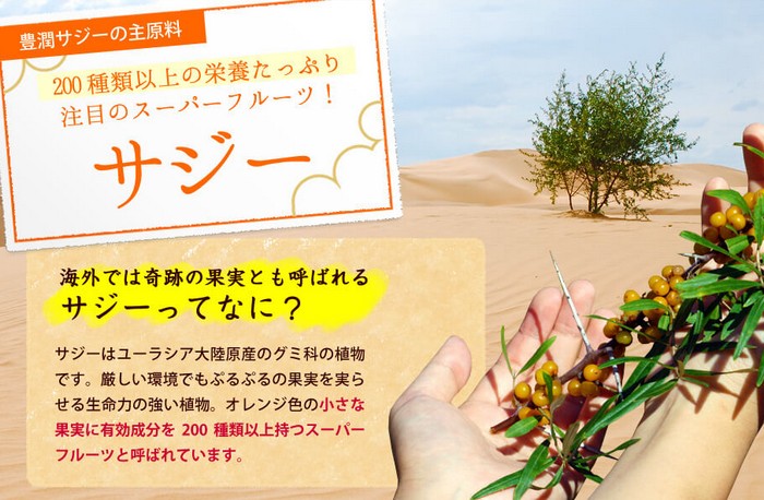 �L���T�W�[